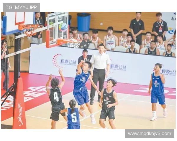 小篮球总决赛点亮鹭岛梦想之光 成千上万少年篮球梦从这里启航 小篮球总决赛点亮鹭岛梦想之光 成千上万少年篮球梦从这里启航